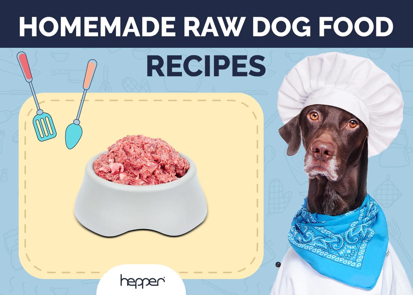 Homemade Raw Dog Food Recipes