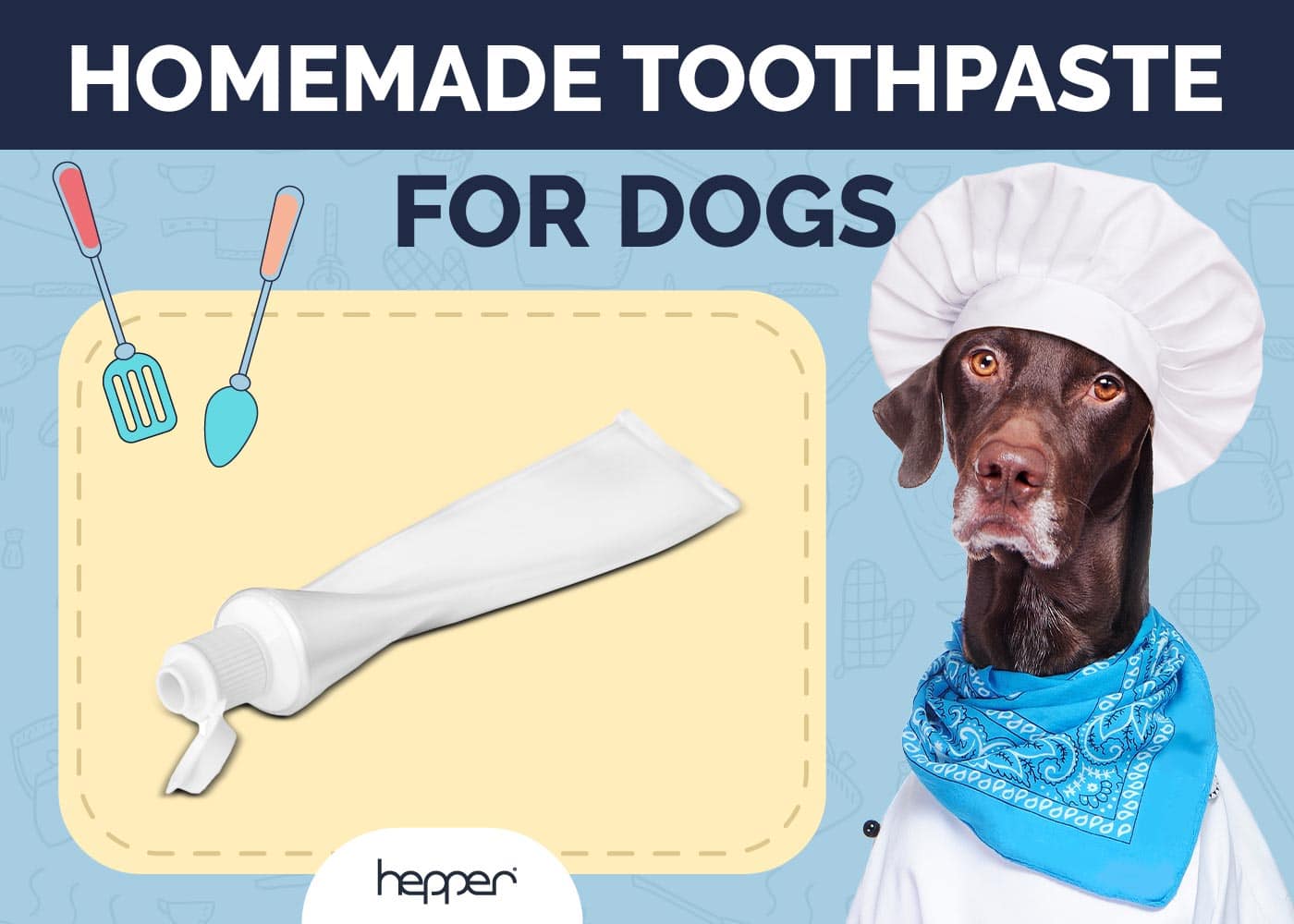 Homemade Toothpaste for Dogs