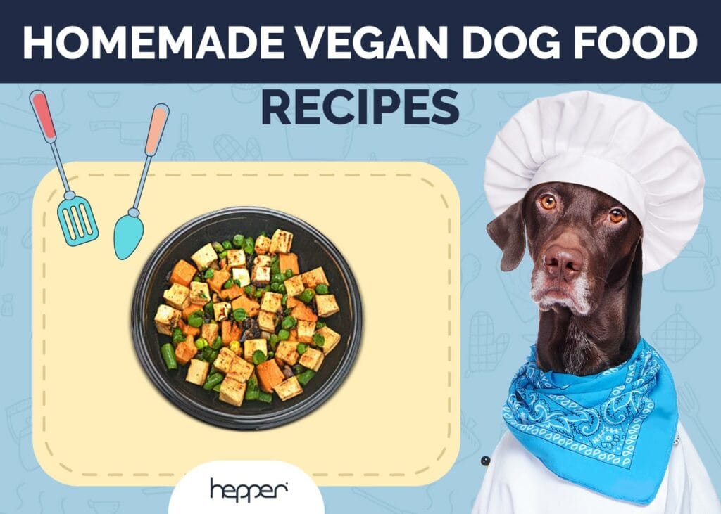 Homemade Vegan Dog Food Recipes