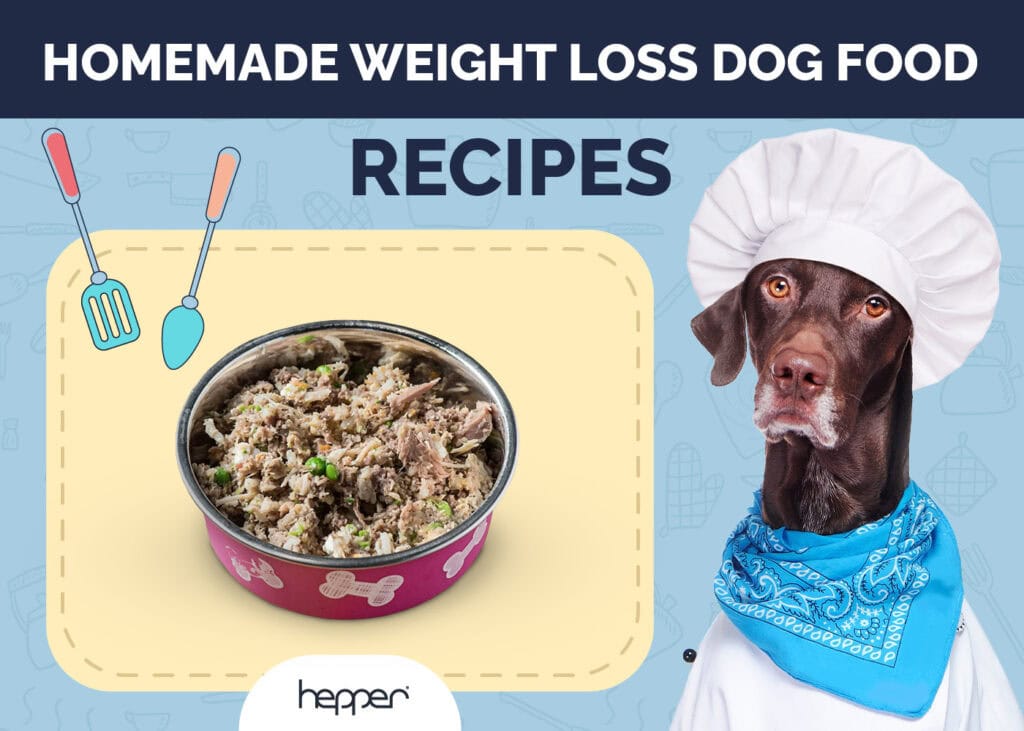 Homemade Weight Loss Dog Food Recipes
