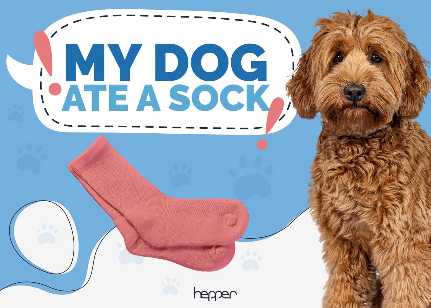 My Dog Ate a Sock