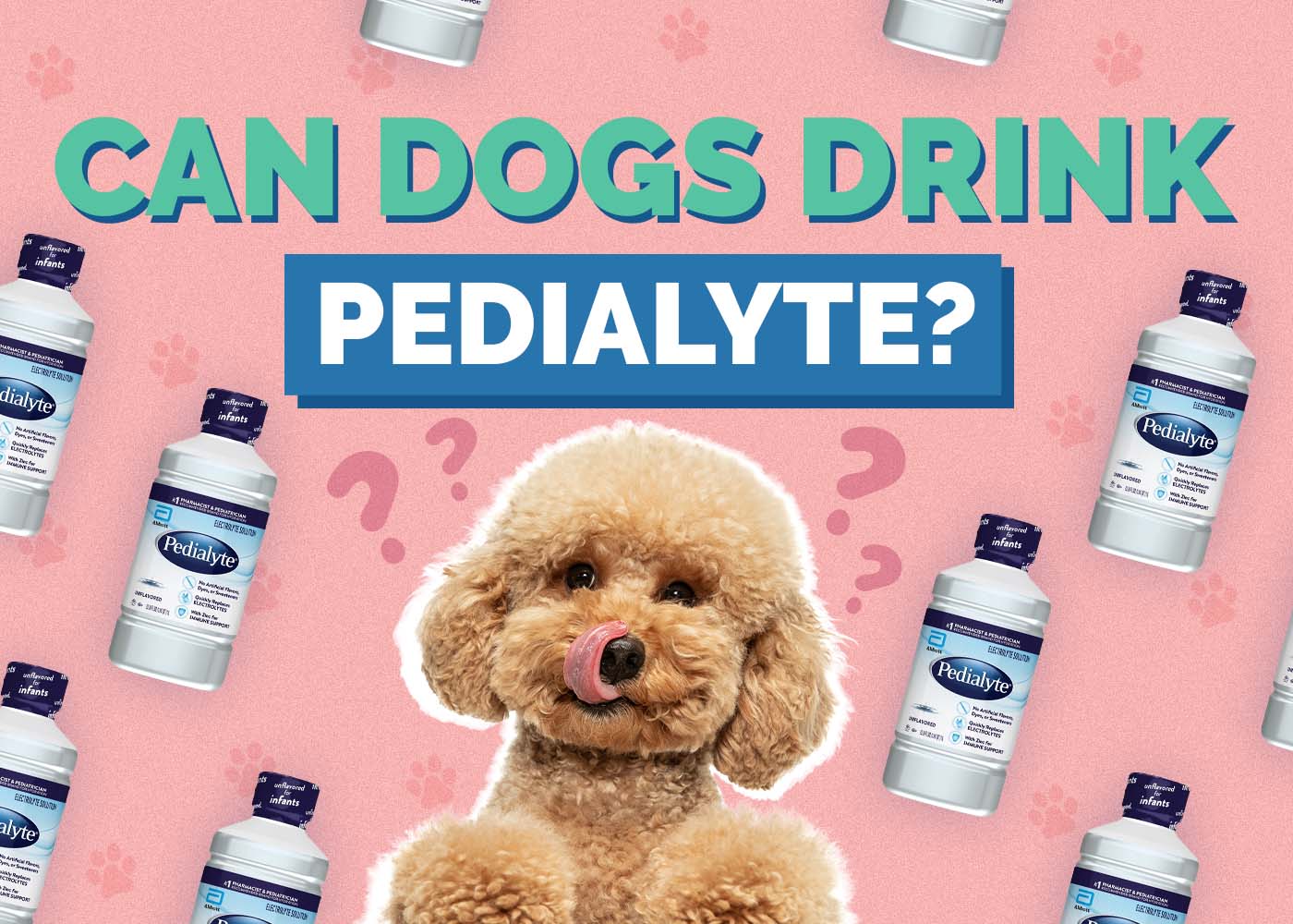 Hepper_Can Dogs Drink_Pedialyte