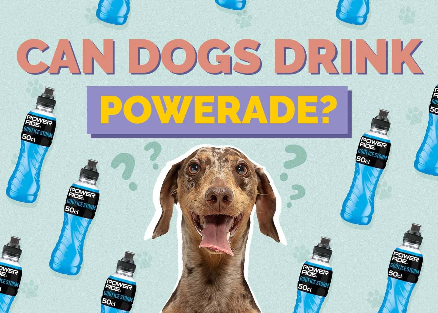 Hepper_Can Dogs Drink_Powerade