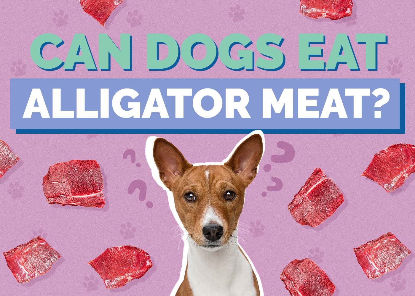 Hepper_Can Dogs Eat_Alligator Meat