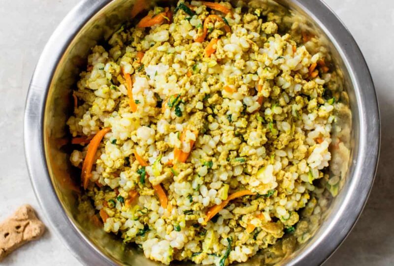 Homemade dog food diy
