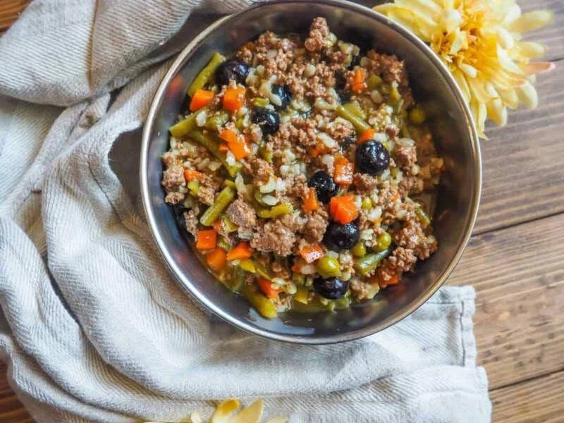 Instant pot dog food