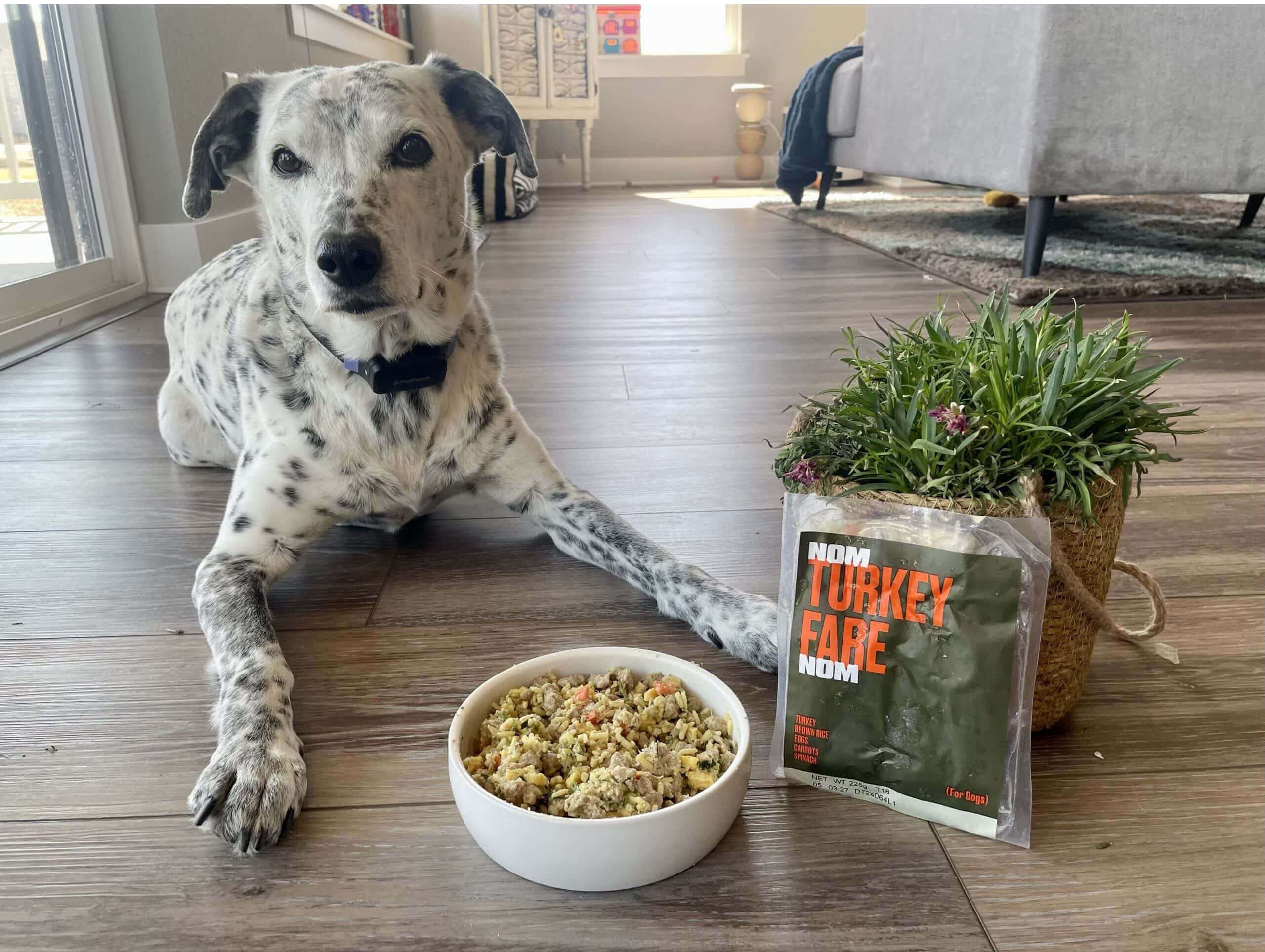 Nom Nom Fresh Dog Food Turkey Fare Recipe