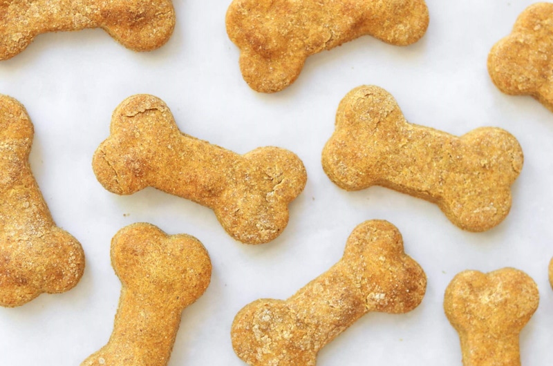 Peanut butter pumpkin dog treats