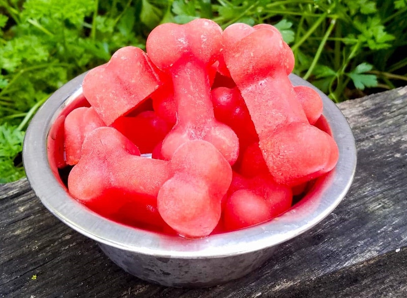 Watermelon dog popsicles
