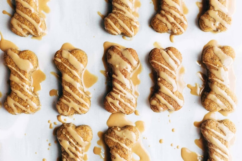 bacon glazed dog biscuit