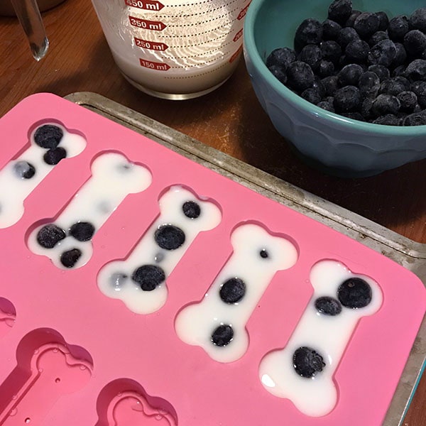 blueberry yogurt frozen treats