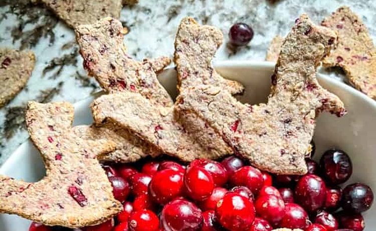 cranberry oat dog treats