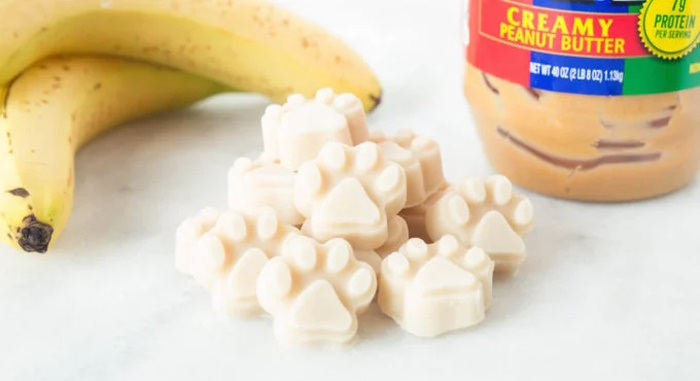 peanut butter banana frozen dog treat