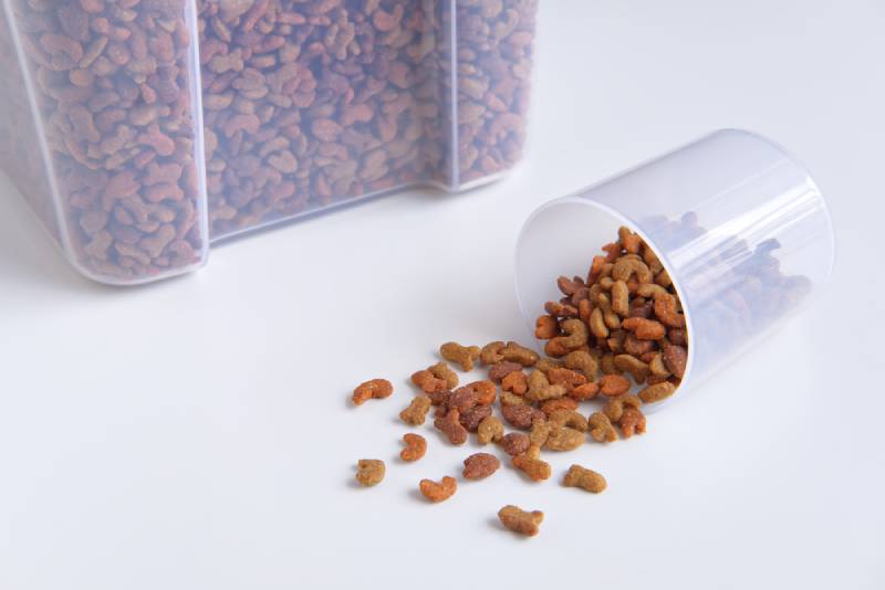 spilled pet food from plastic container