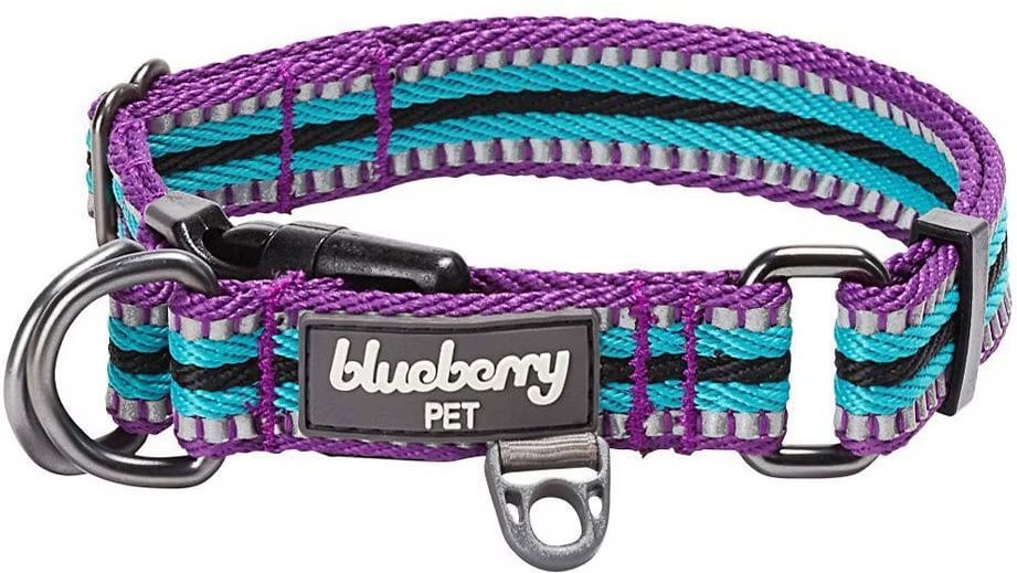 Blueberry Pet 3M Multi-Colored Stripe Polyester Reflective Dog Collar
