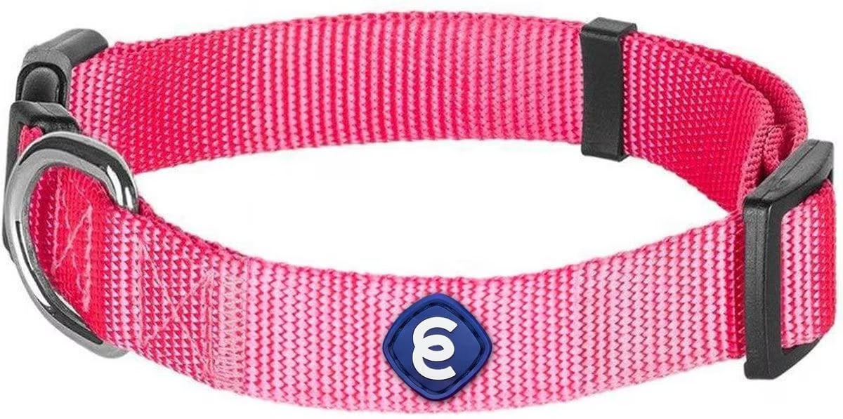 Blueberry Pet Classic Solid Nylon Dog Collar