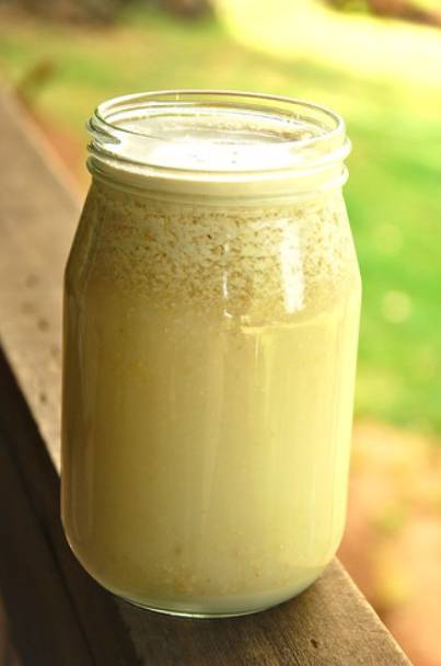 DIY HOMEMADE SHAMPOO FOR DOGS (FOR DRY, ITCHY SKIN)