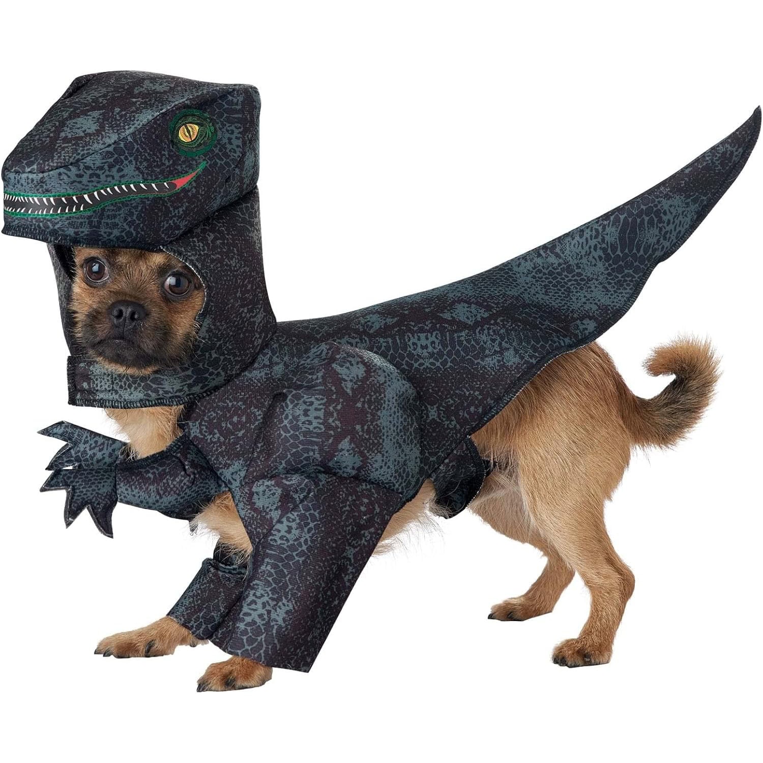 California Costumes Pupasaurus Rex