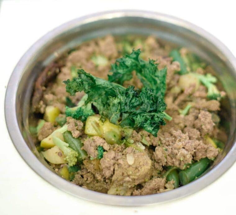 9 Homemade Grain Free Dog Food Recipes Every Dog Will Love Hepper Pet 9-homemade-grain-free-dog-food-recipes-every-dog-will-love-hepper-pet
