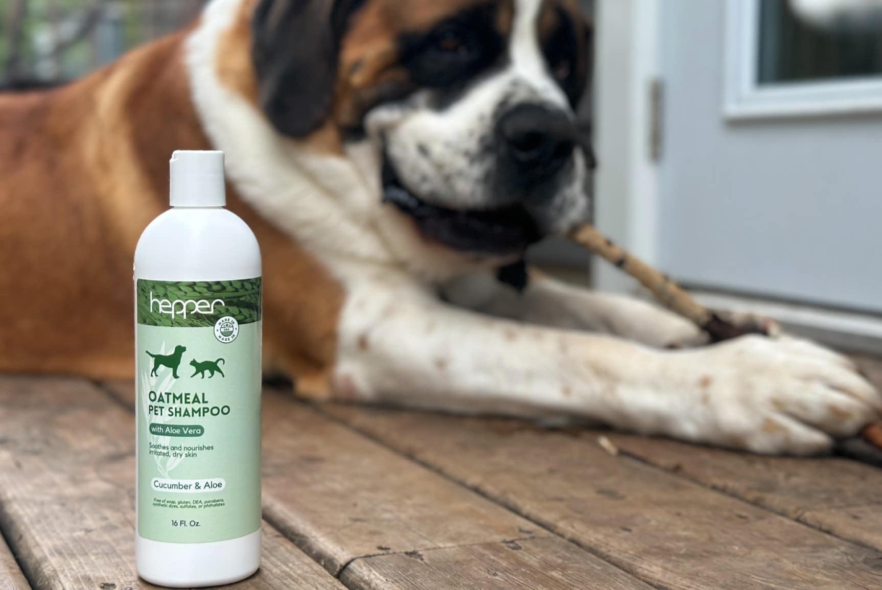 Hepper Colloidal Shampoo St Bernard Outside 1