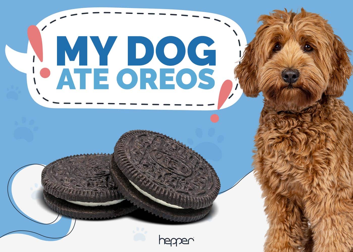 My Dog Ate Oreo Cookies