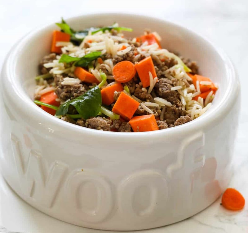 Homemade dog food