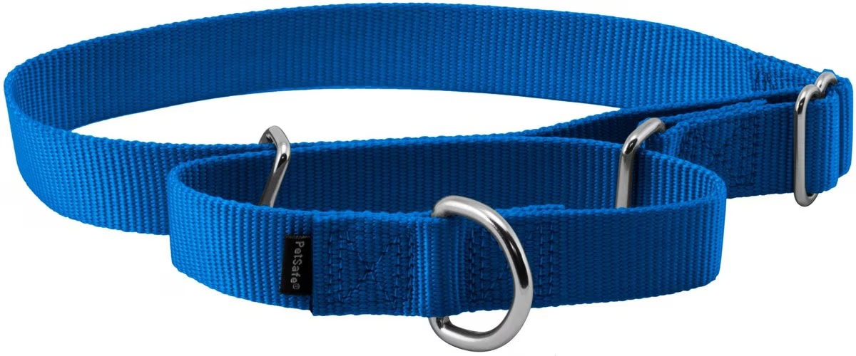 PetSafe Nylon Martingale Dog Collar