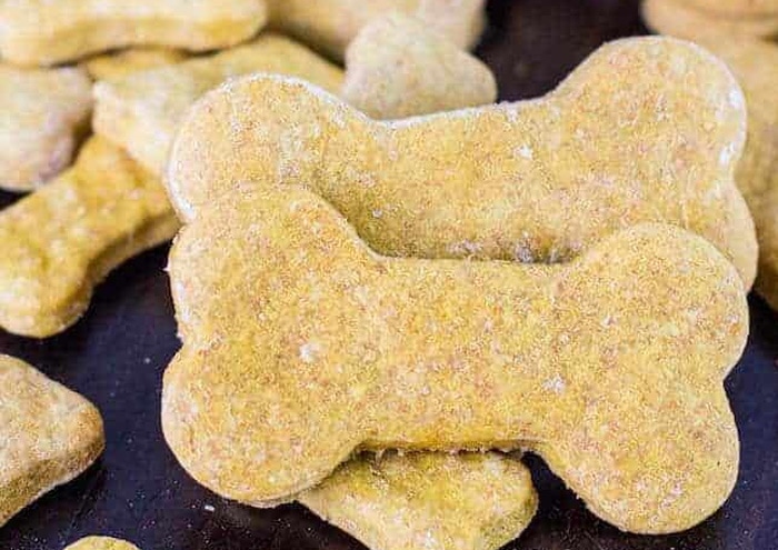Pumpkin Dog Bone