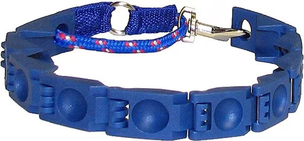 The Perfect Dog Command Training Dog Collar 