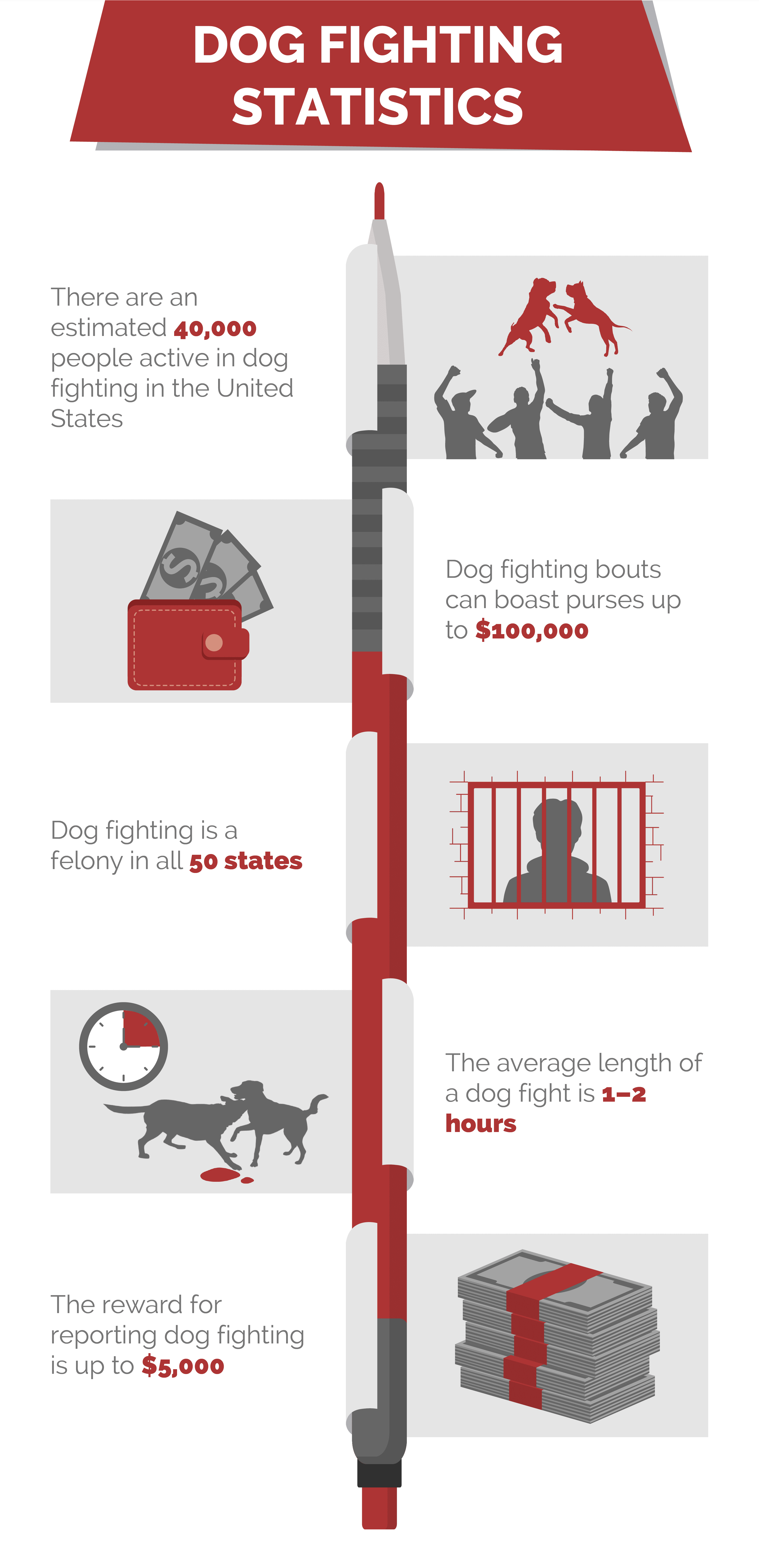 dog fighting statistics