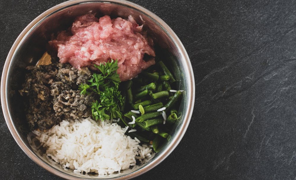 fresh and raw dog food in stainless bowl