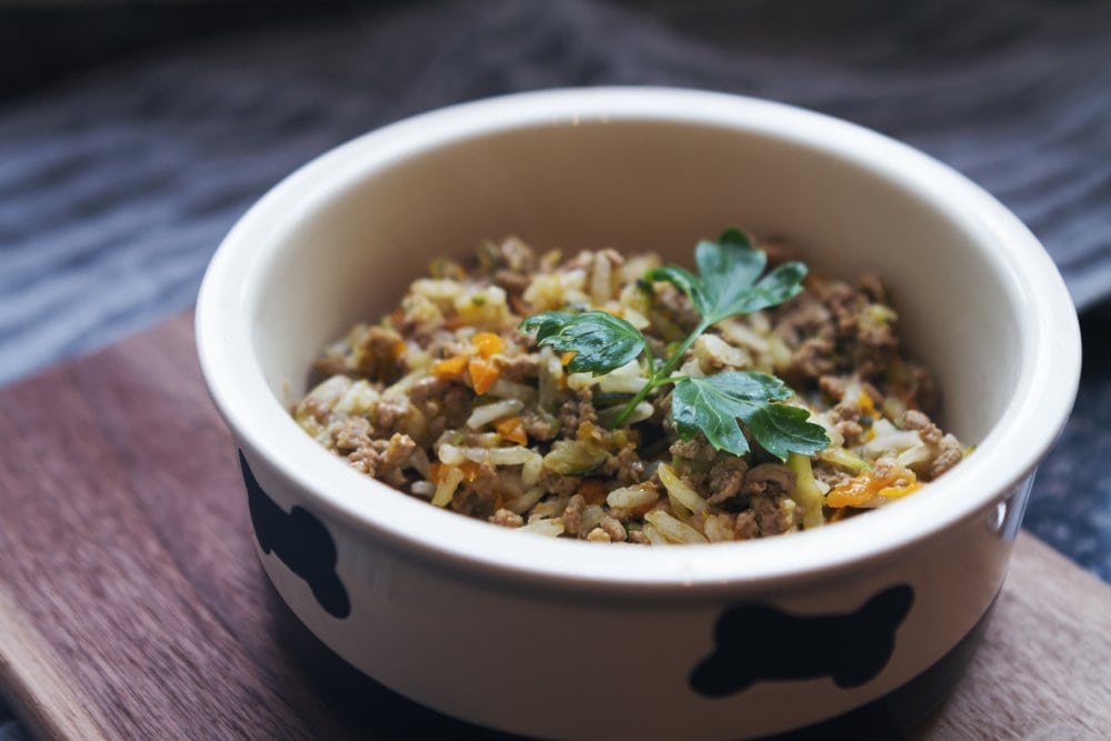 homemade pet food in ceramic bowl