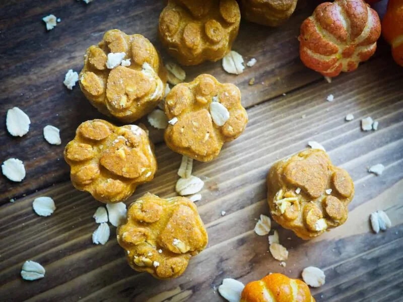 pupkin-spice dog treat