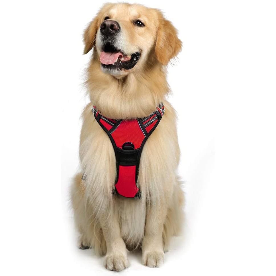 rabbitgoo Large No-Pull Dog Harness