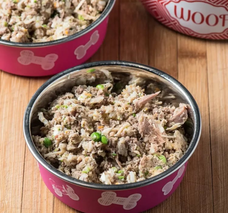 wheat free dog food