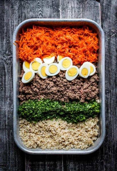 Easy Homemade Dog Food Recipe
