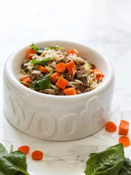HOMEMADE DOG FOOD RECIPE