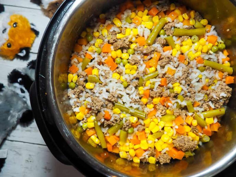 Instant Pot Easy Homemade Dog Food Recipe