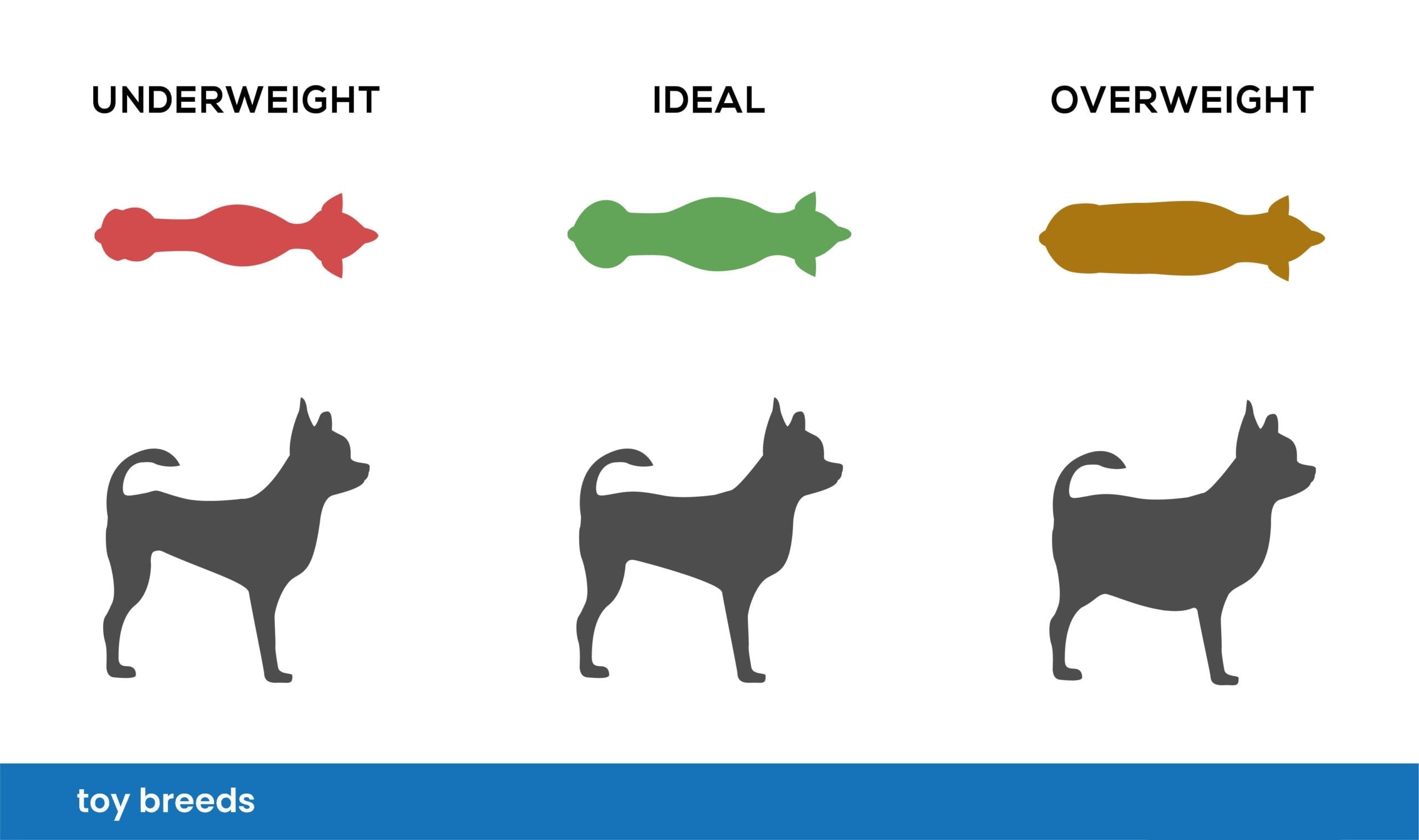 toy breed weight chart