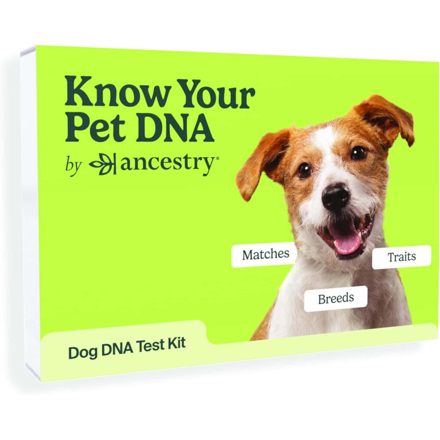 Ancestry Breed Identification Dog DNA Test Kit