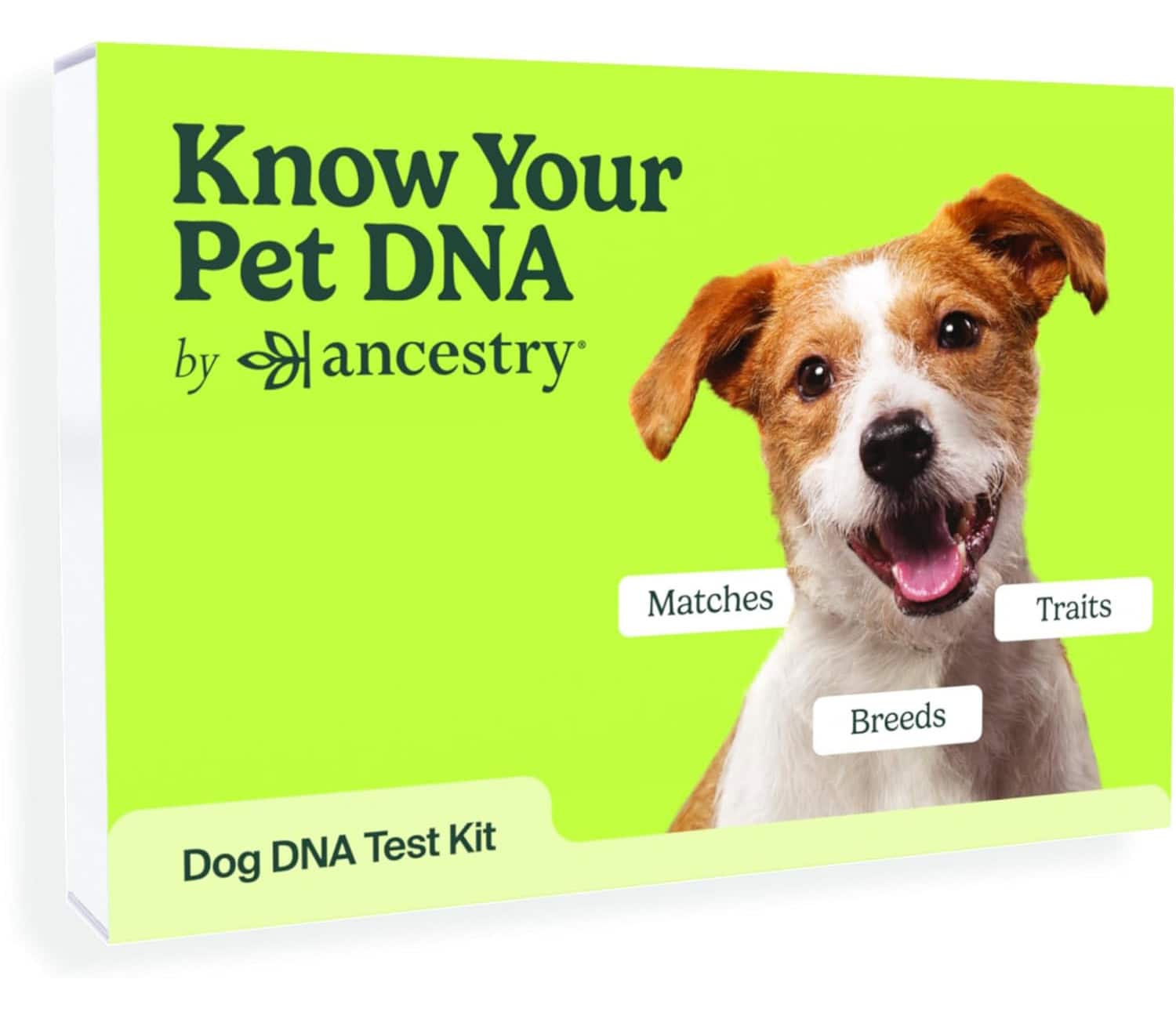 AncestryDNA Know Your Pet DNA- Dog DNA Breed Identification Test