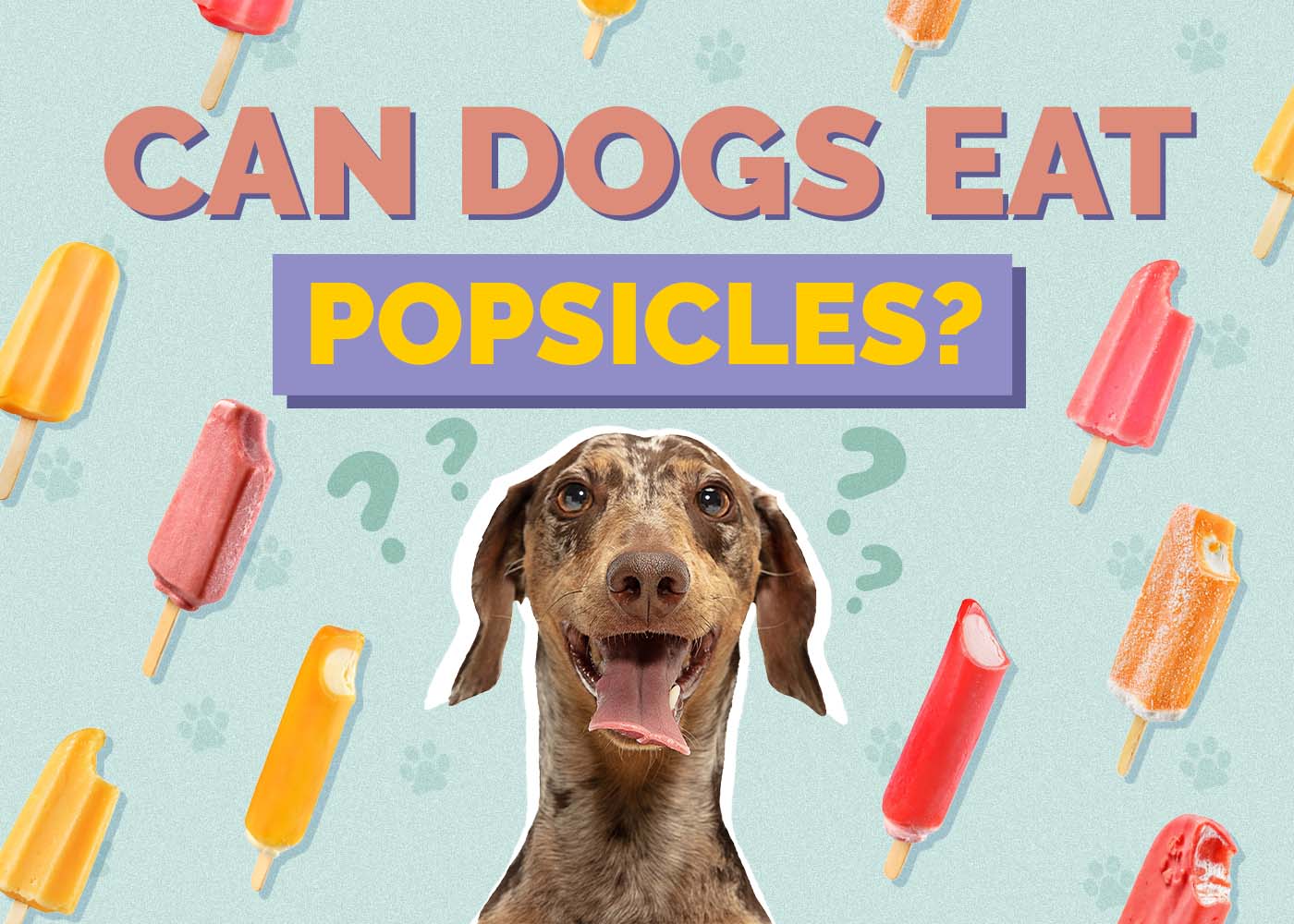 Hepper_Can Dogs Eat_Popsicles