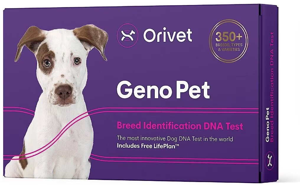 Orivet Dog DNA Test Kit