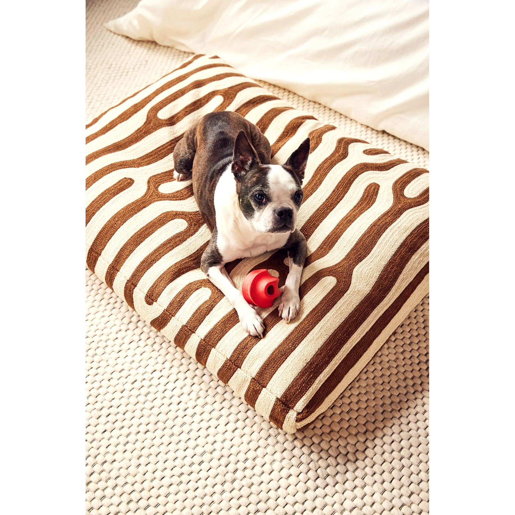 Oak Dog Bed 