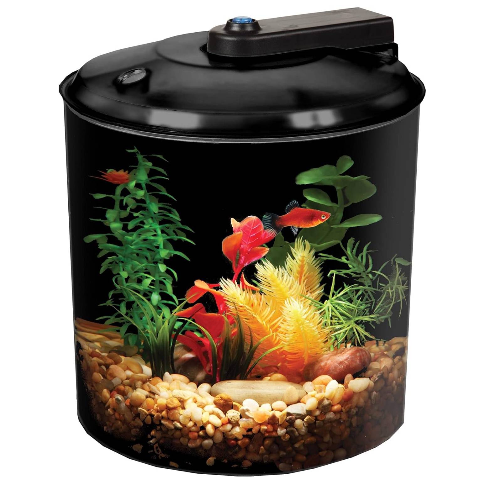 API Betta Kit 360 Degree Fish Tank