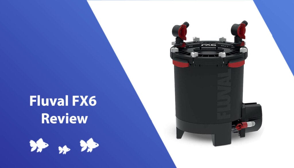 Fluval FX6 Review