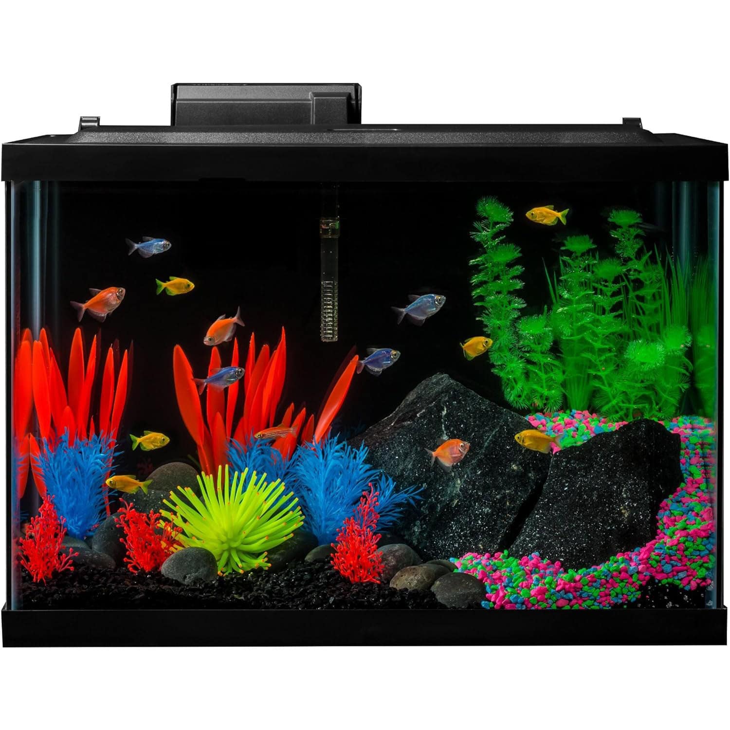 GloFish Aquarium Kit Fish Tank