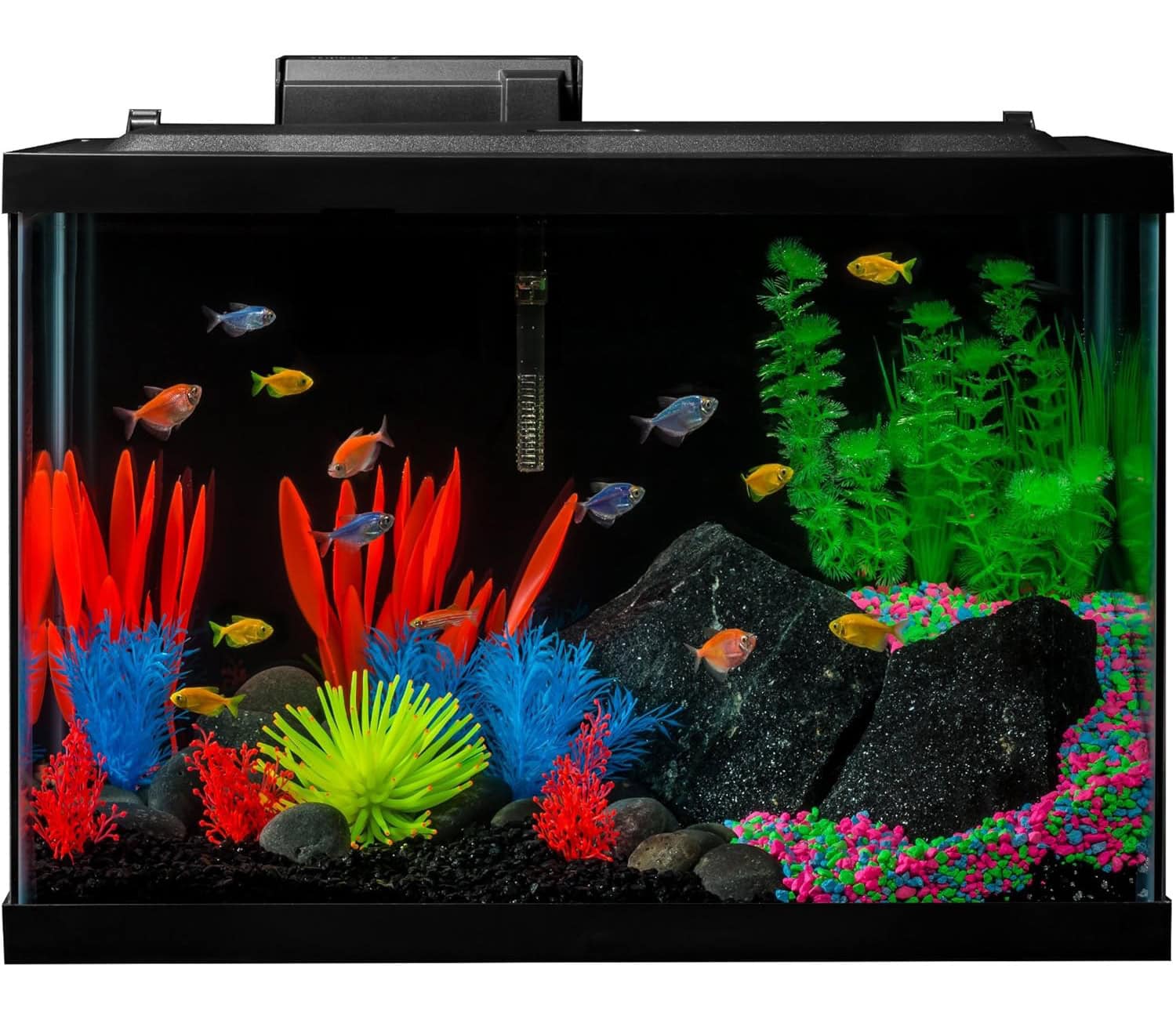 GloFish 20 Gallon Aquarium Kit with LED Lights