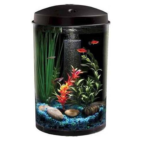 Hawkeye 3 Gallon 360 Aquarium