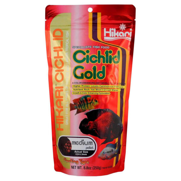 Hikari Cichlid Gold